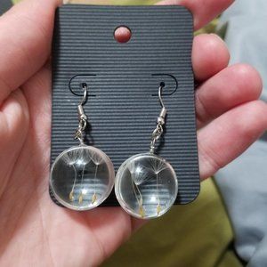 Dandalion seeds in resin